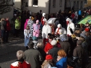 Faschingszug_171