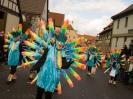 Faschingszug - Fotograf 2_109