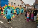 Faschingszug - Fotograf 2_114