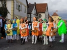 Faschingszug - Fotograf 2_13