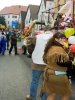 Faschingszug - Fotograf 2_47