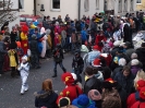 Faschingszug_105