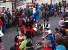 Faschingszug_108