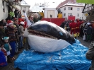 Faschingszug_110