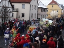 Faschingszug_120