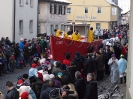 Faschingszug_14