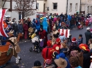 Faschingszug_18