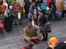 Faschingszug_43