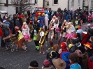 Faschingszug_46