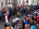 Faschingszug_72