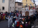 Faschingszug_84