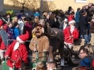 Faschingszug_127
