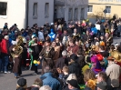 Faschingszug_17