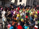 Faschingszug_25