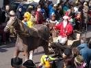Faschingszug_32