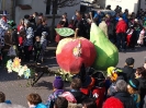 Faschingszug_34