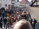 Faschingszug_84