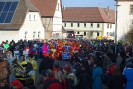 Faschingszug - Fotograf 1_10