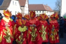 Faschingszug - Fotograf 1_23