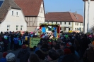 Faschingszug - Fotograf 1_30