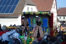 Faschingszug - Fotograf 1_44