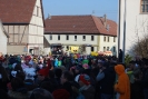 Faschingszug - Fotograf 1_45