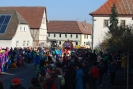 Faschingszug - Fotograf 1_47