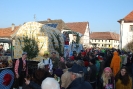 Faschingszug - Fotograf 1_52