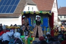 Faschingszug - Fotograf 1_56