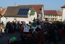 Faschingszug - Fotograf 1_57