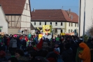 Faschingszug - Fotograf 1_61