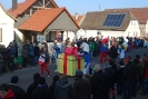 Faschingszug - Fotograf 1_69