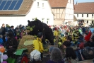 Faschingszug - Fotograf 1_74