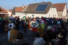 Faschingszug - Fotograf 1_8