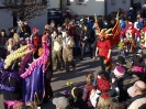 Faschingszug - Fotograf 2_100