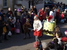 Faschingszug - Fotograf 2_128
