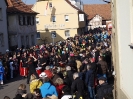Faschingszug - Fotograf 2_129