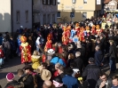 Faschingszug - Fotograf 2_140