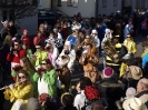 Faschingszug - Fotograf 2_141