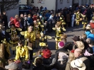 Faschingszug - Fotograf 2_148