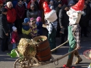 Faschingszug - Fotograf 2_15