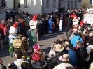 Faschingszug - Fotograf 2_1