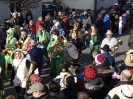 Faschingszug - Fotograf 2_20