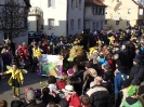 Faschingszug - Fotograf 2_47