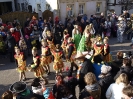 Faschingszug - Fotograf 2_49