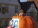 Faschingszug - Fotograf 2_4