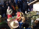Faschingszug - Fotograf 2_5