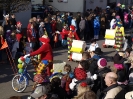 Faschingszug - Fotograf 2_63