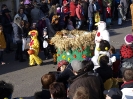 Faschingszug - Fotograf 2_71