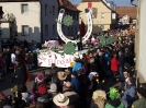 Faschingszug - Fotograf 2_72